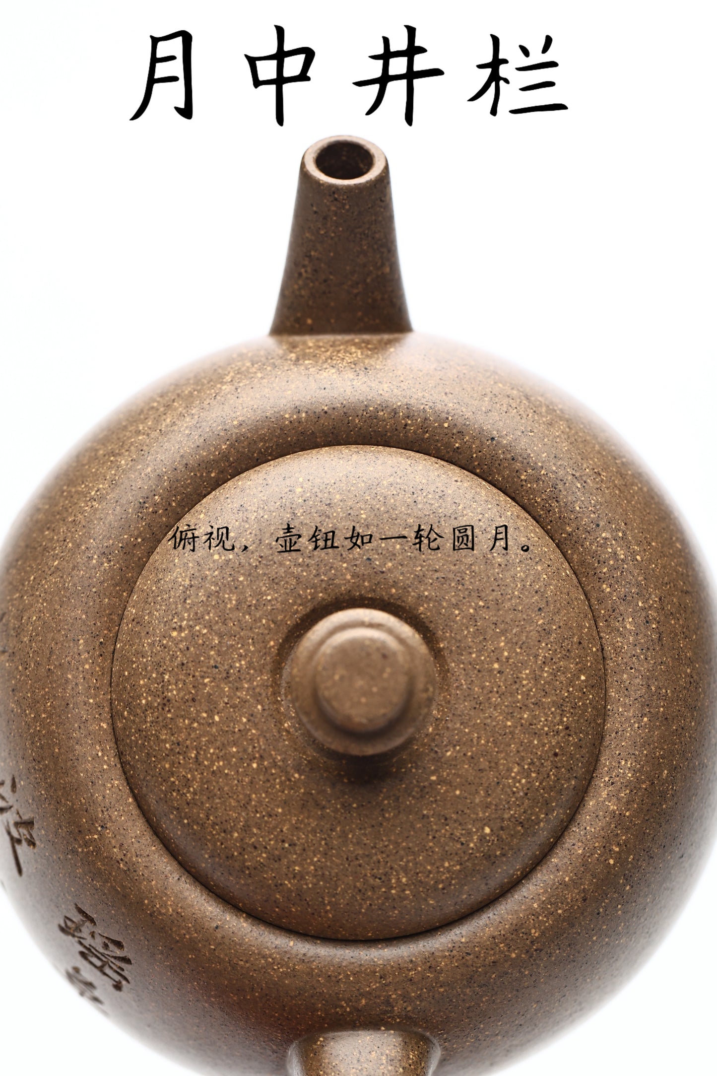 中青辈实力派 四号井老段泥 月中井栏